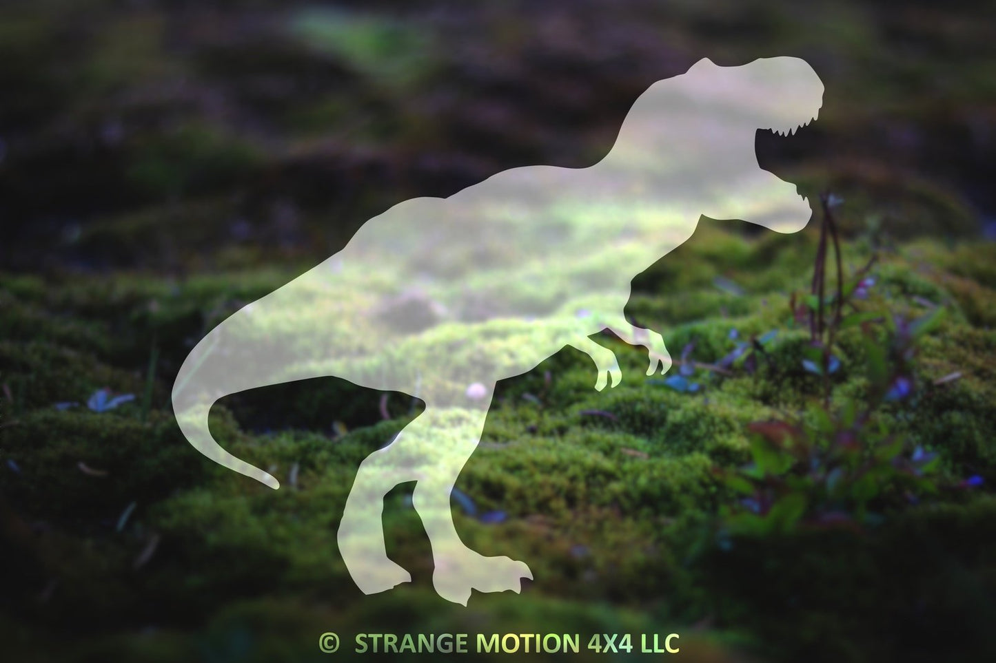 T-Rex Vinyl Decal | 67