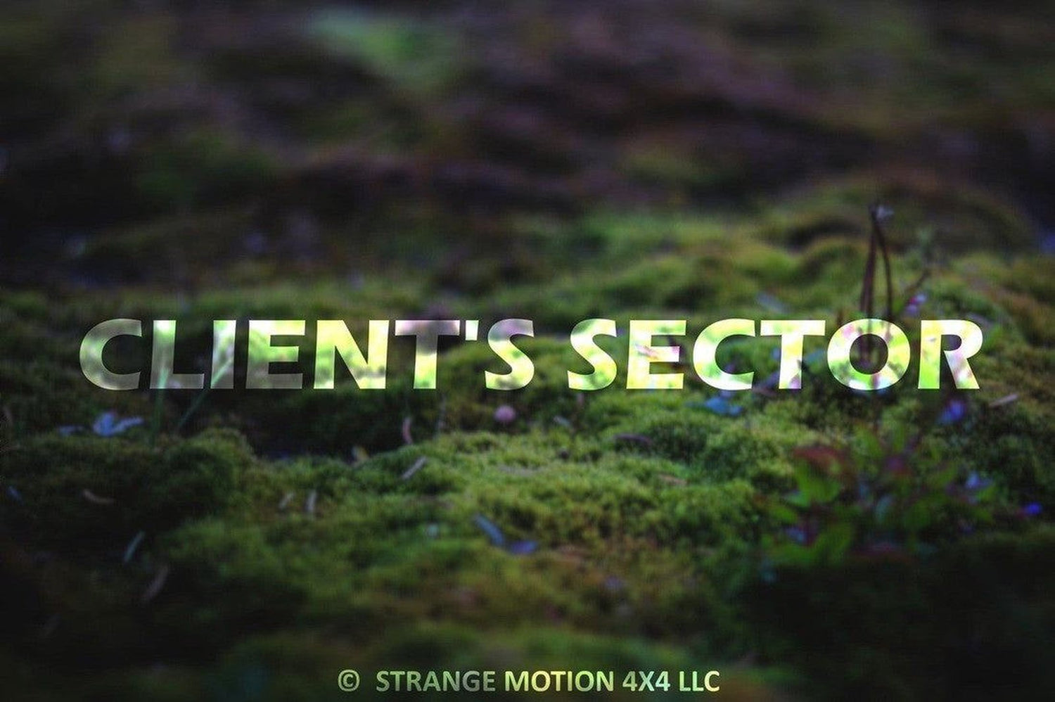 Client's Sector