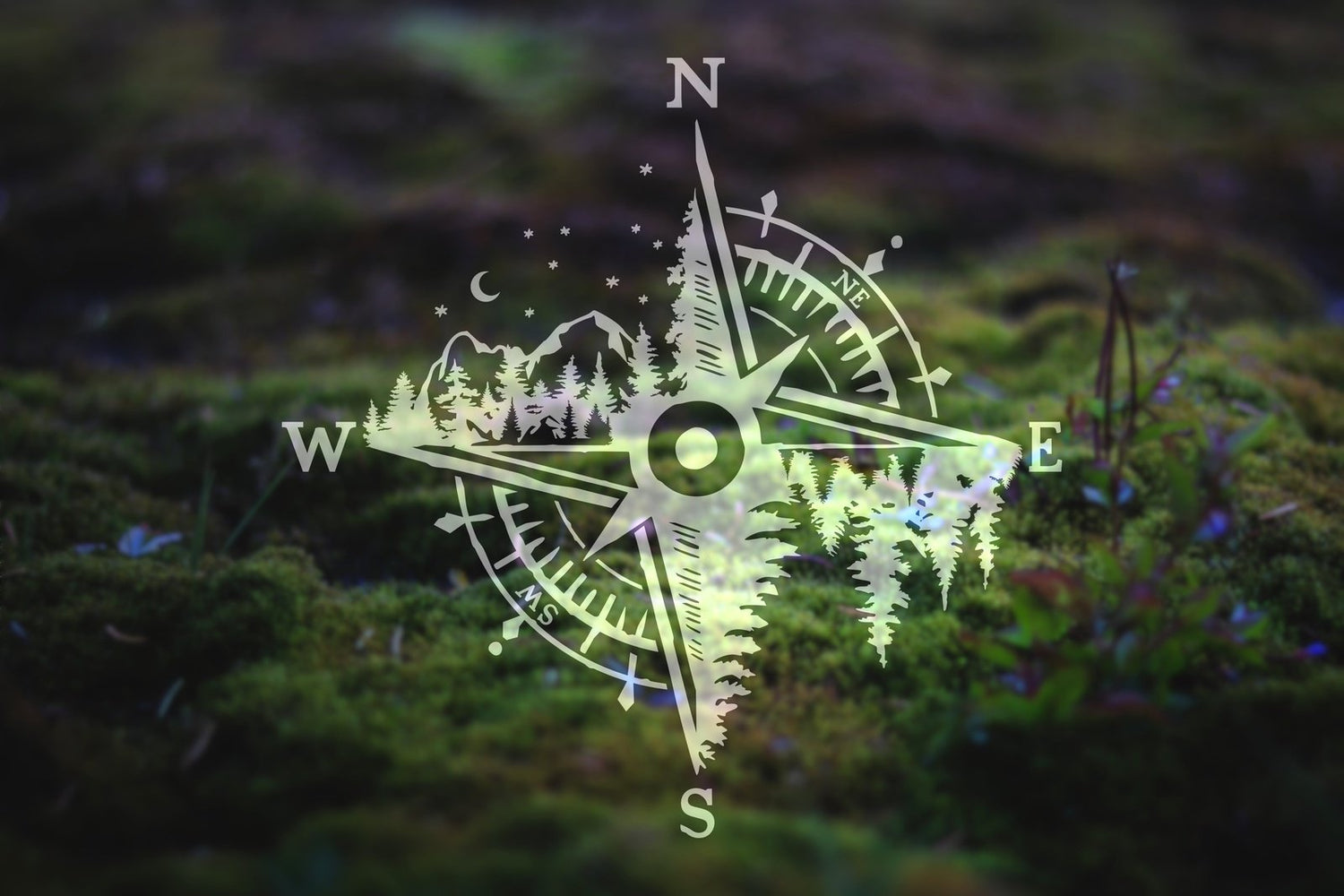 Compass Vinyl Decals