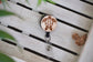 Sea Turtle Badge Reel | 25