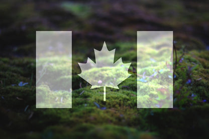 Canadian Flag Vinyl Decal | 100