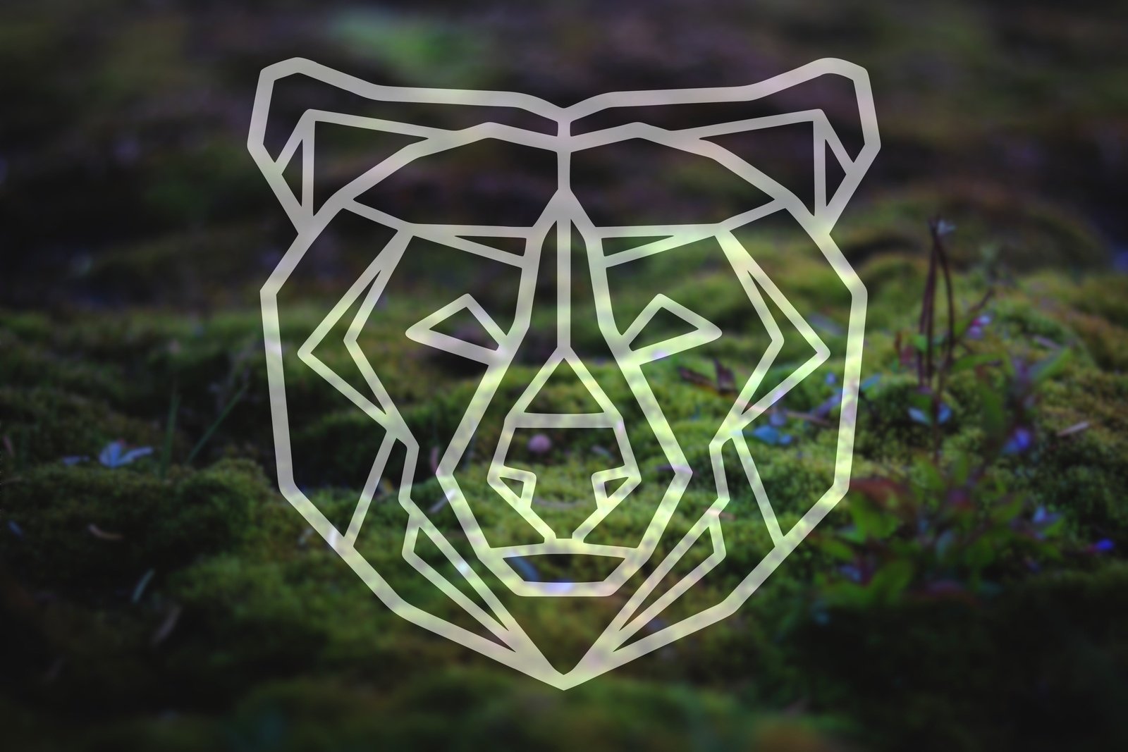 Line Art Bear Head Viny Decal | 282