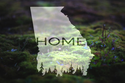 Georgia Home Vinyl Decal | 302