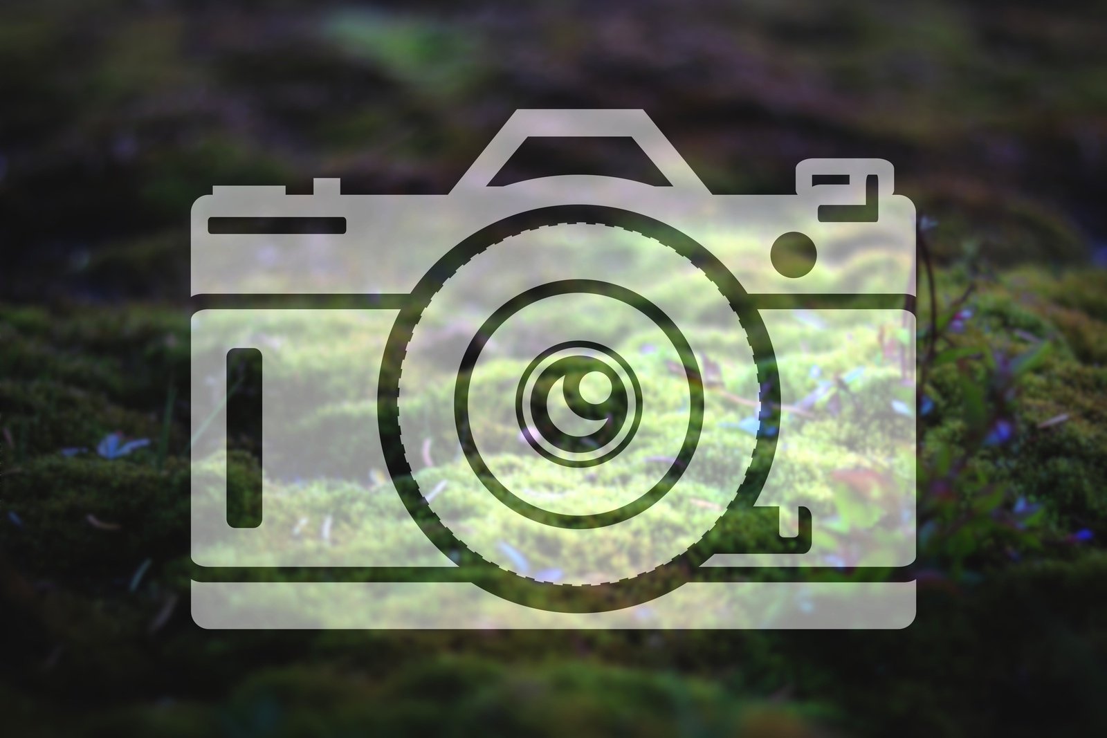 Camera Vinyl Decal | 97