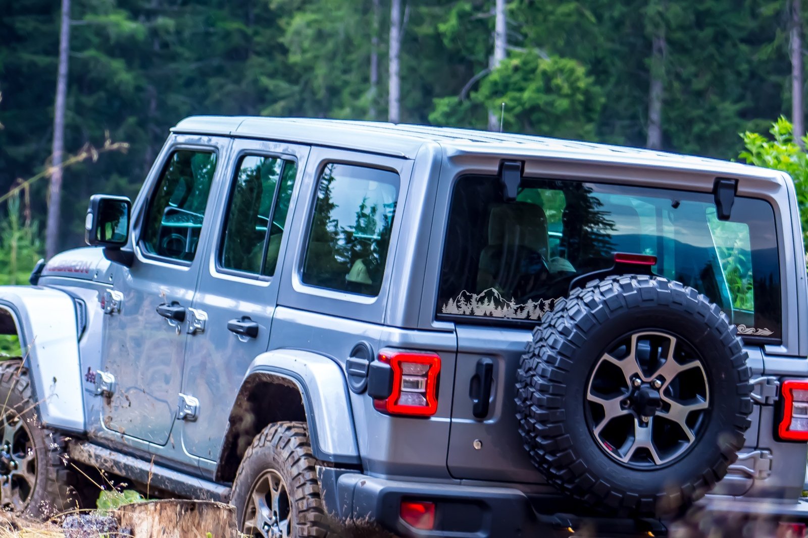 Mountains to Coast Banner | 268