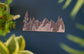 Mountains and Trees Wooden Sticker | 1