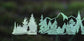 PNW Banner Vinyl Decal | 2