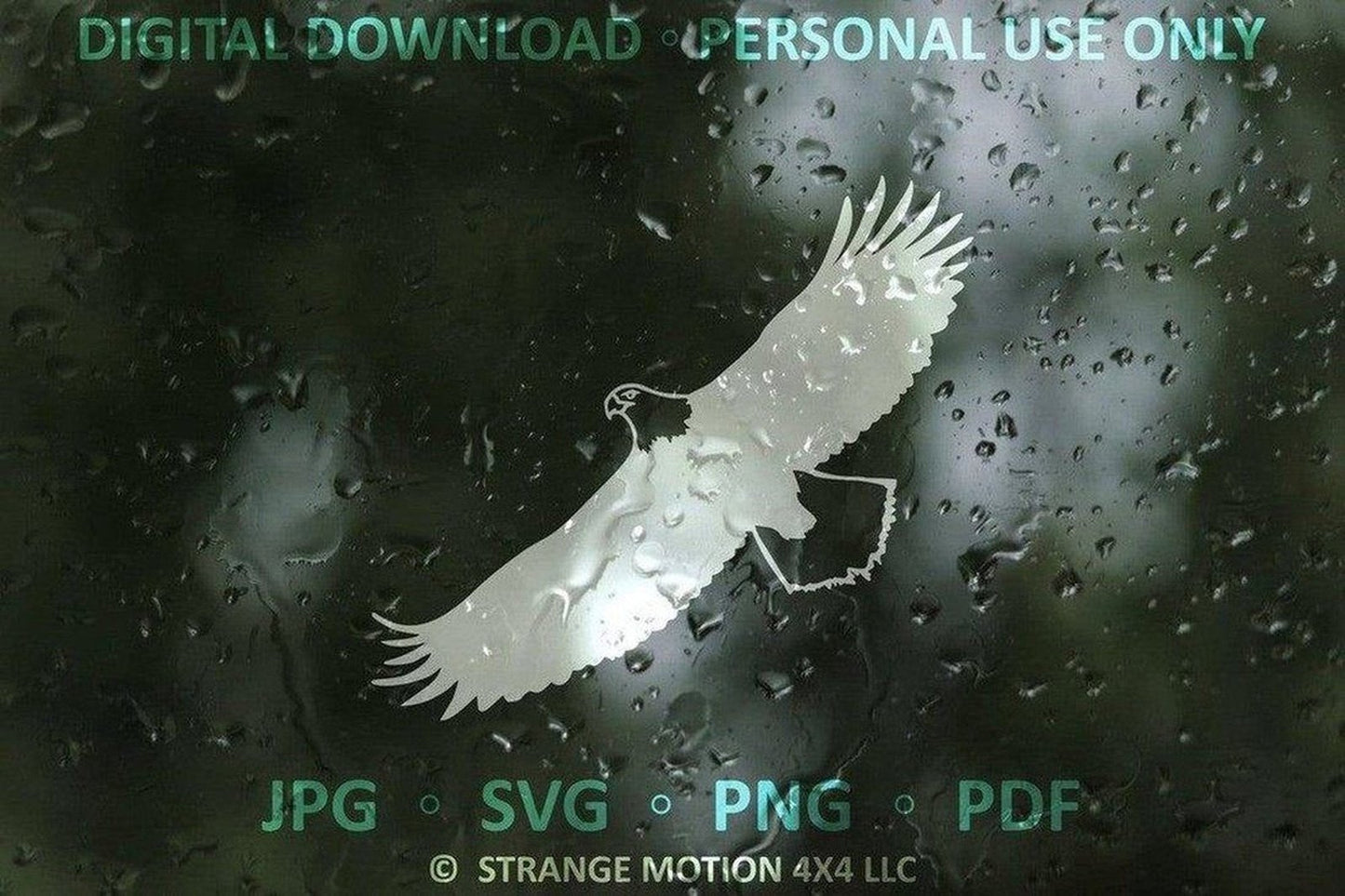 Bald Eagle File Pack - Personal Use