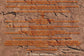 Beaver Silhouette File Pack - Commercial Use