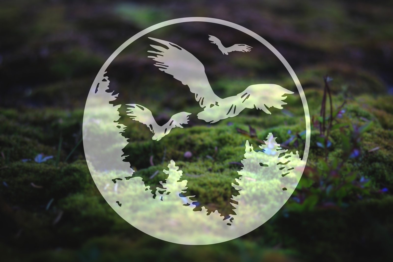 Birds and Trees Circle Vinyl Decal | 91
