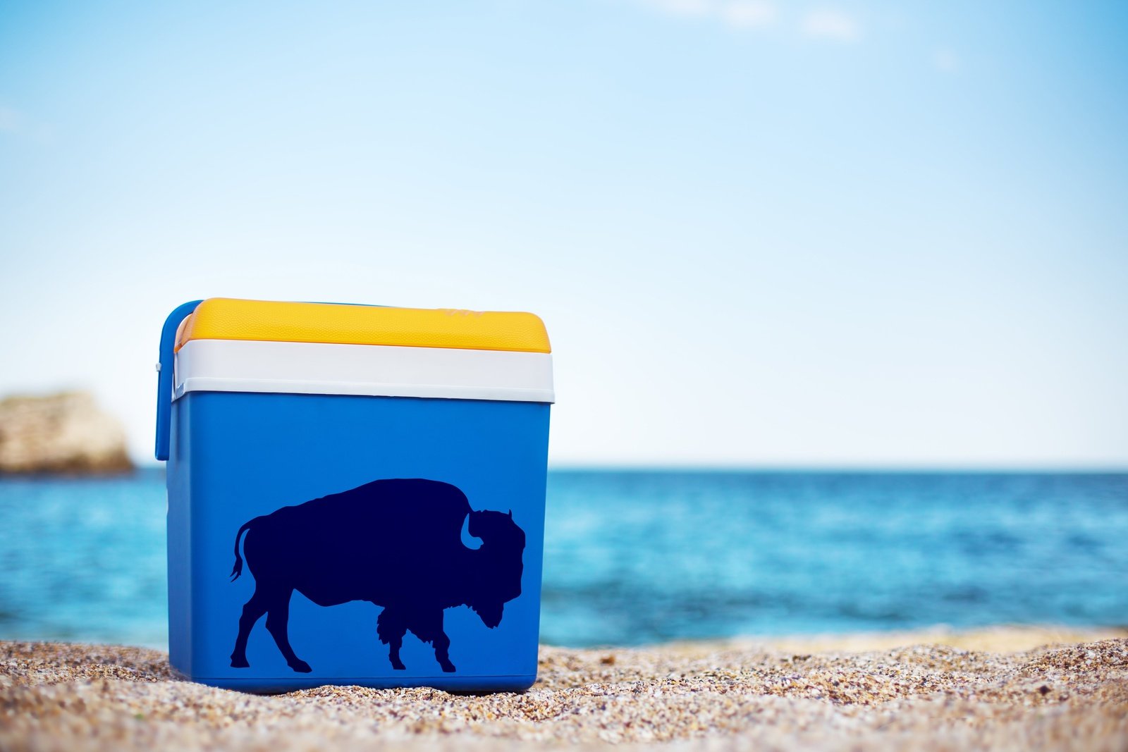 Buffalo Vinyl Decal | 138