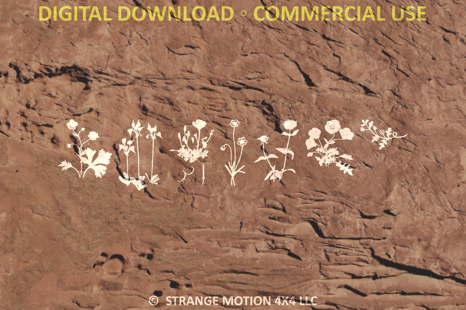 Wildflower File Pack Bundle - Commercial Use