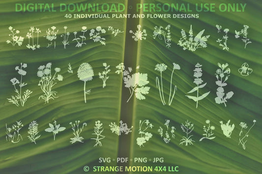 Wildflower File Pack Bundle - Personal Use