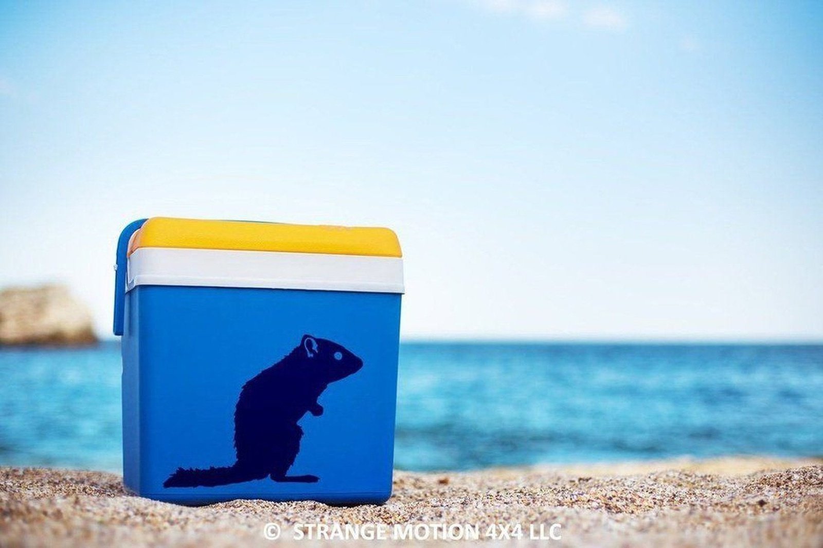 Chipmunk Vinyl Decal | 101