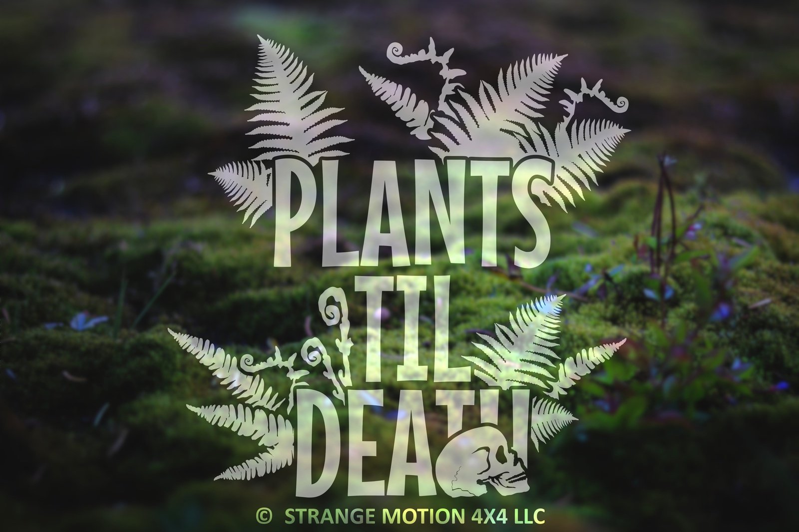 Plants Til Death Vinyl Decal | 29