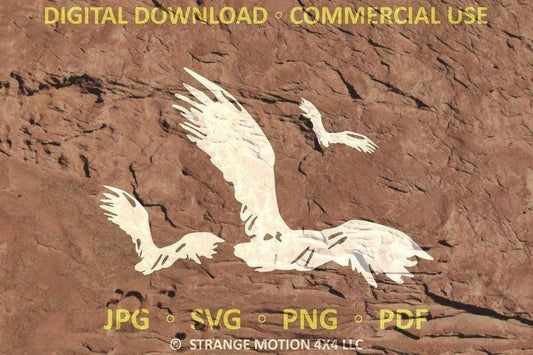 Flying Birds File Pack - Commercial Use