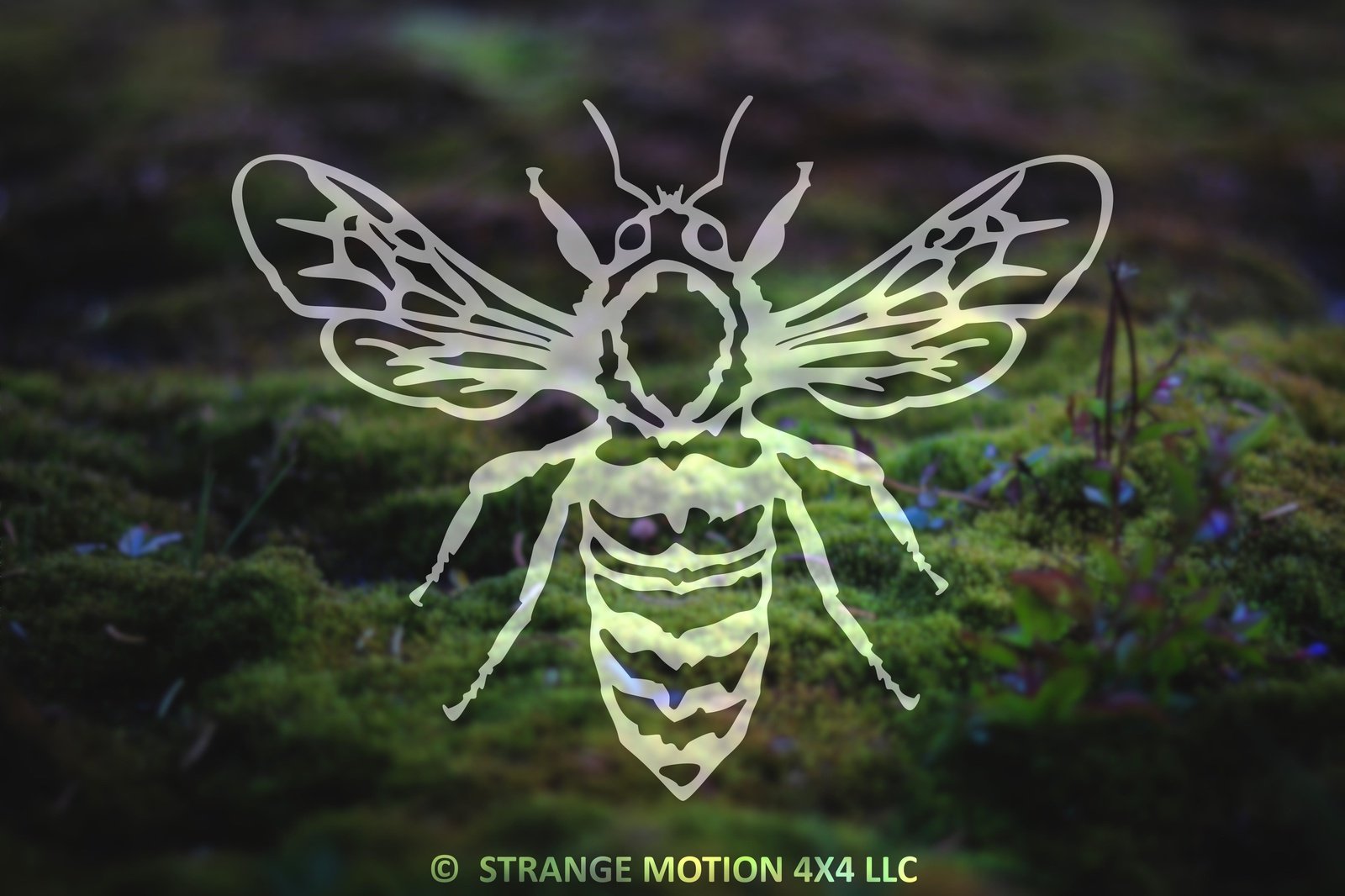 Honey Bee Vinyl Decal | 54