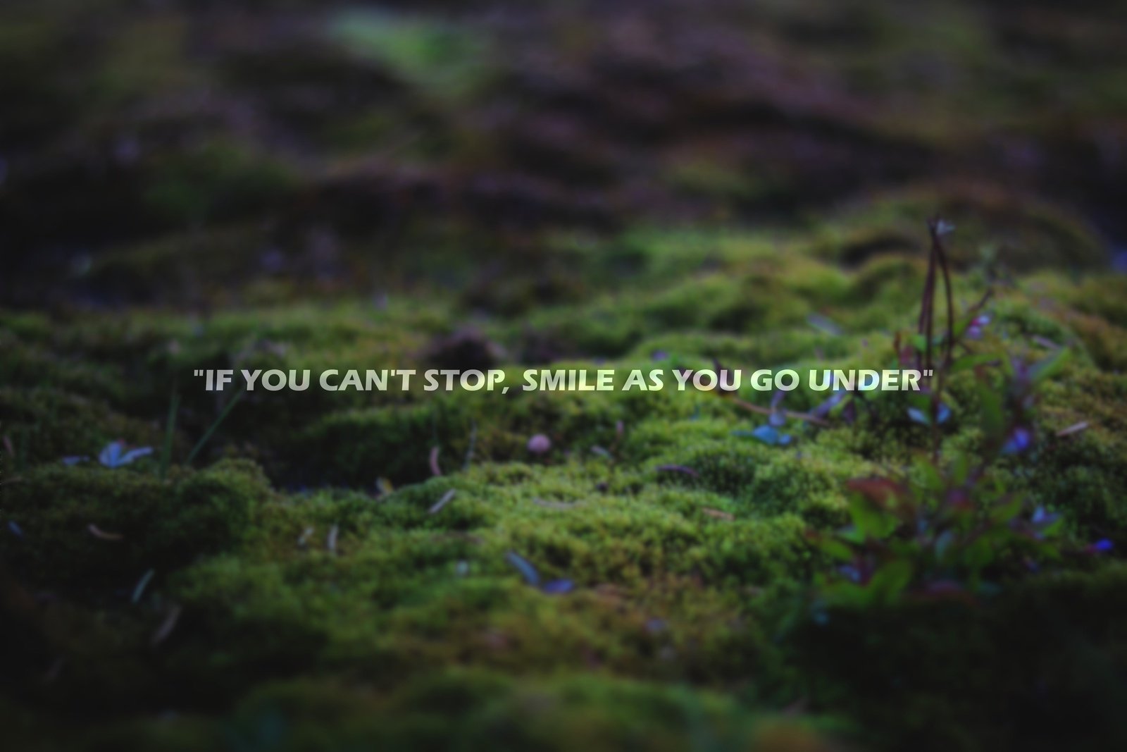 SH - "If you can't stop, smile as you go under" - 17 1/2" x 1/2"