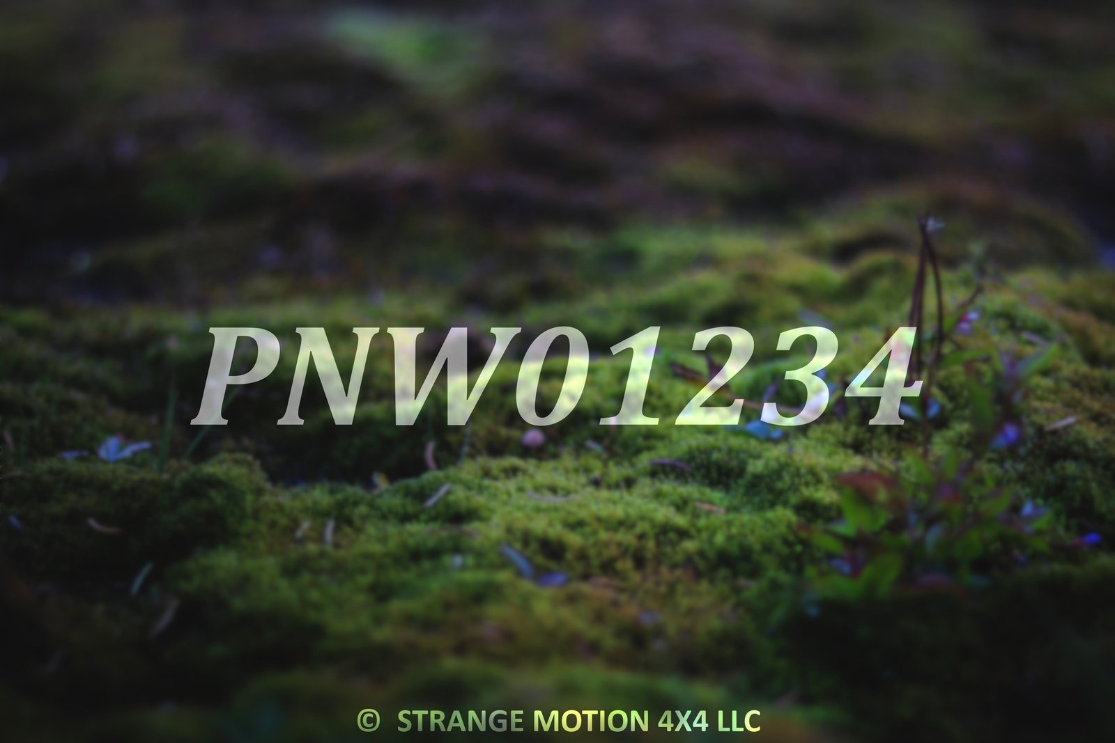 PNW Miniacs Windshield Banner + PNW Member Number PNW22089 x2 Limetree Green