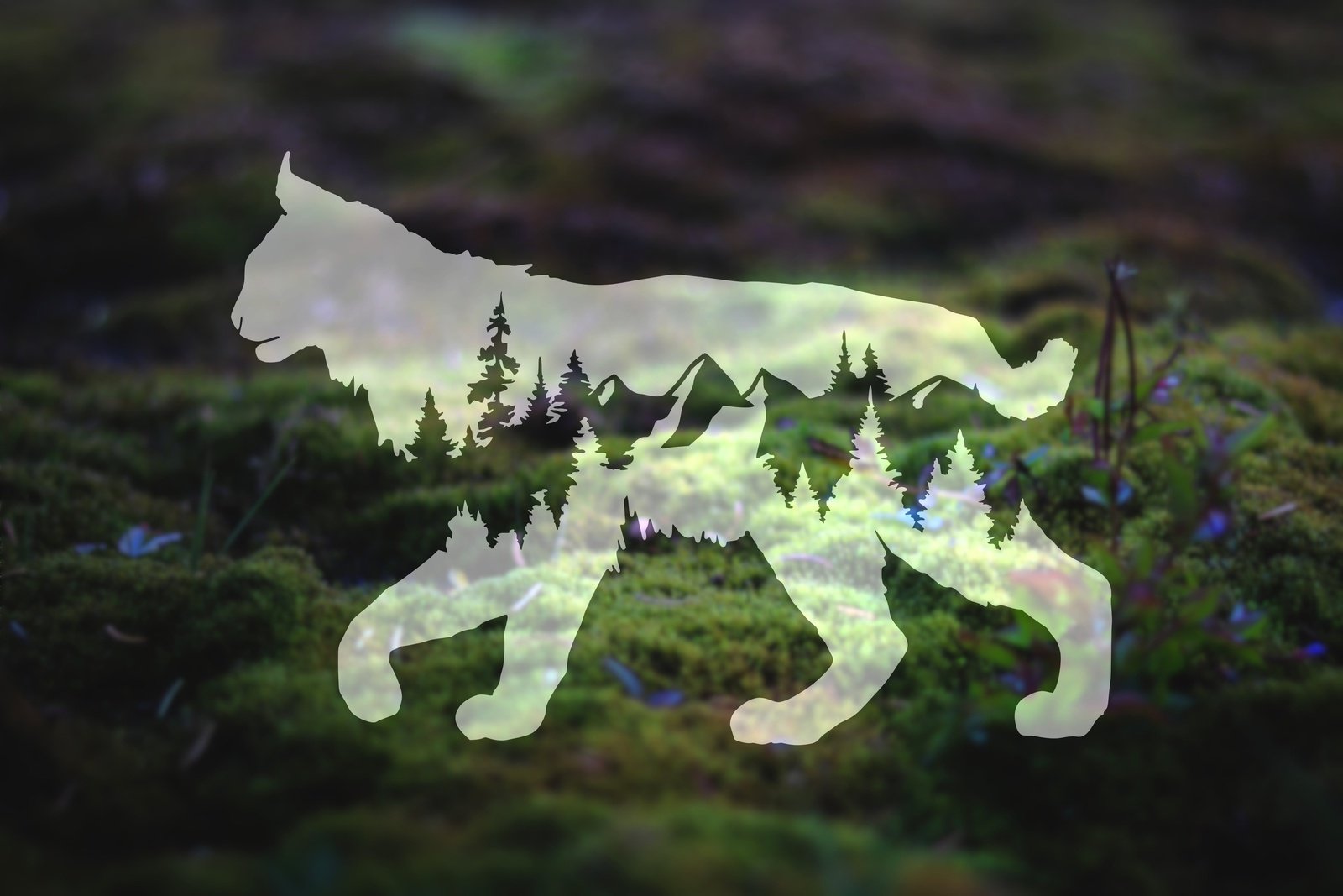 Mountain Bobcat Vinyl Decal | 266