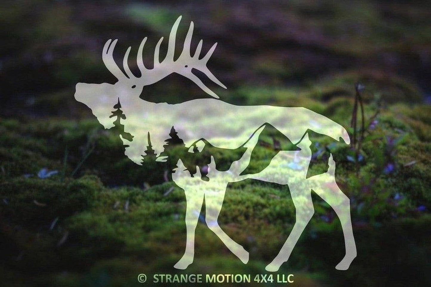 Mountain Elk Vinyl Decal | 115