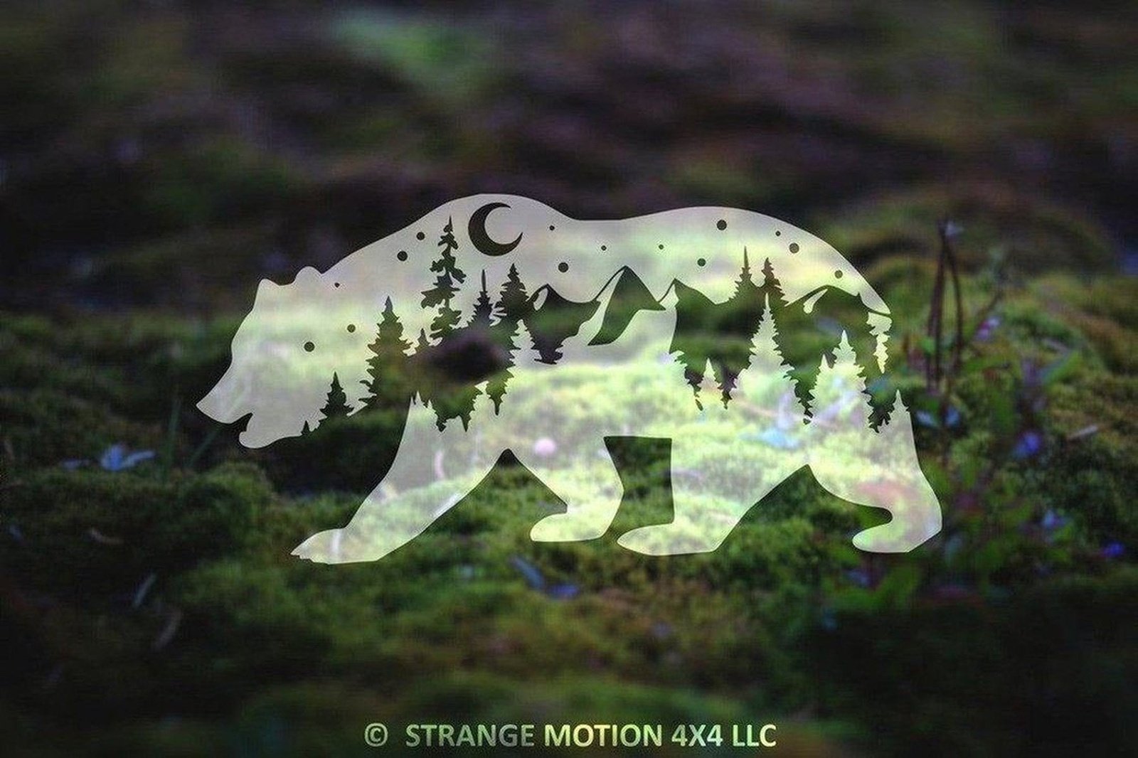 Night Mountain Bear Vinyl Decal | 32