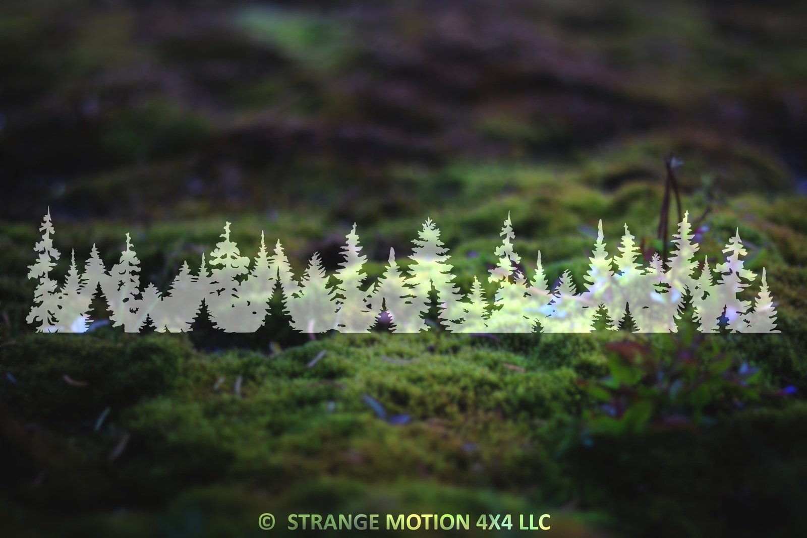 Into The Forest I Go 9" x 6 5/8" + Forest Banner 30" x 5" - Indoor Matte Black Vinyl Oracal 631